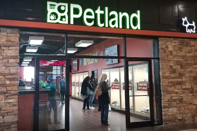 Petland Mall of Georgia Picture 5