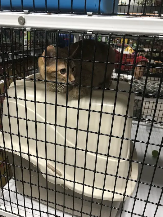 Pet Supermarket Picture 1