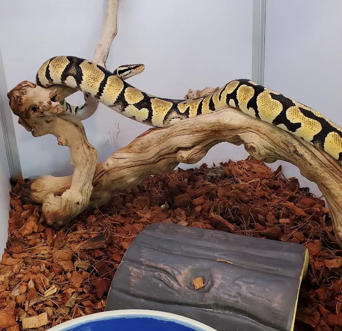 Pet Supermarket Picture 10