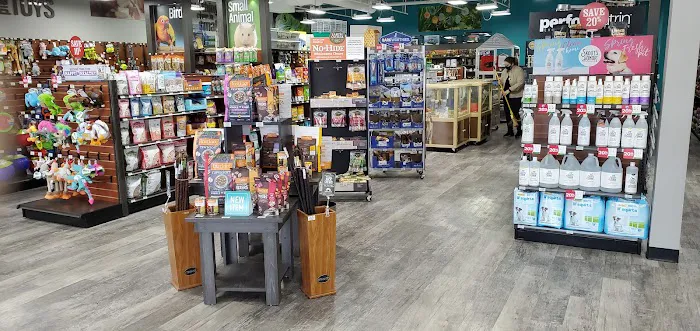 Pet Supermarket Picture 9