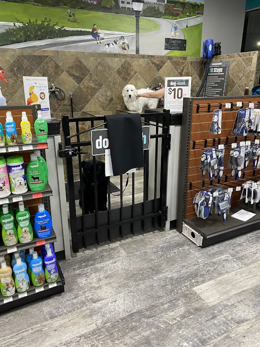 Pet Supermarket Picture 7