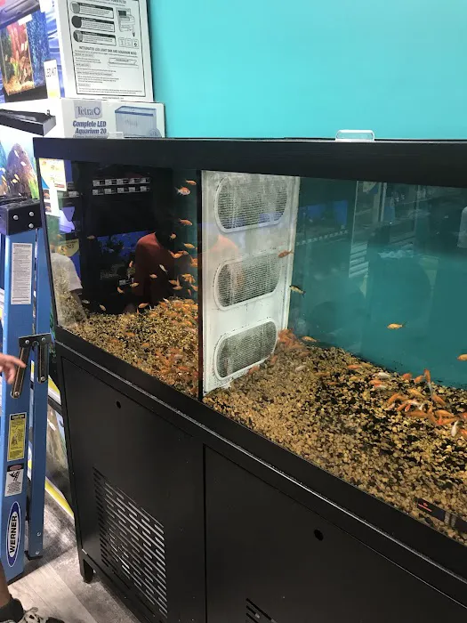 Pet Supermarket Picture 2