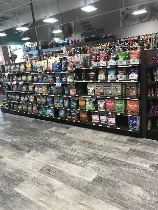 Pet Supermarket Picture 6