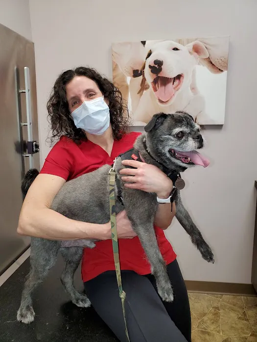 Healing Paws Veterinary Care Picture 1
