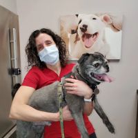 Healing Paws Veterinary Care ico