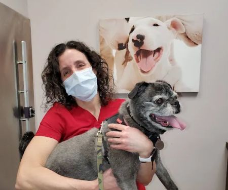 Healing Paws Veterinary Care