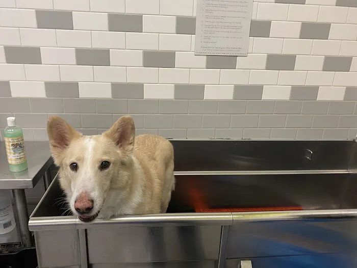 Petco Picture 9