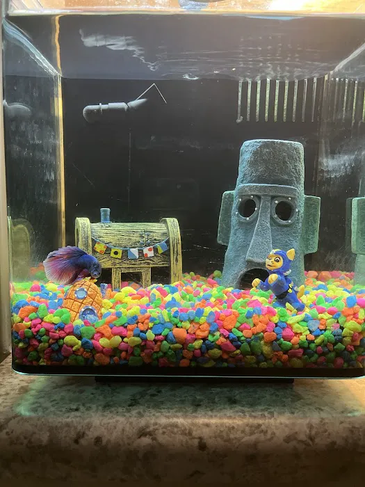 Petco Picture 6