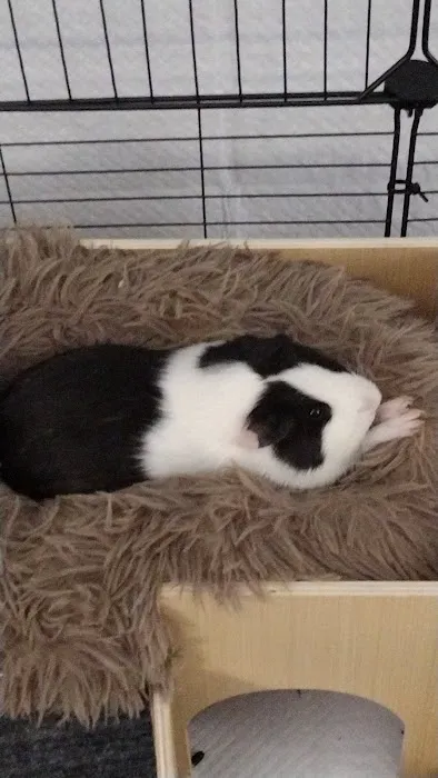 Petco Picture 5