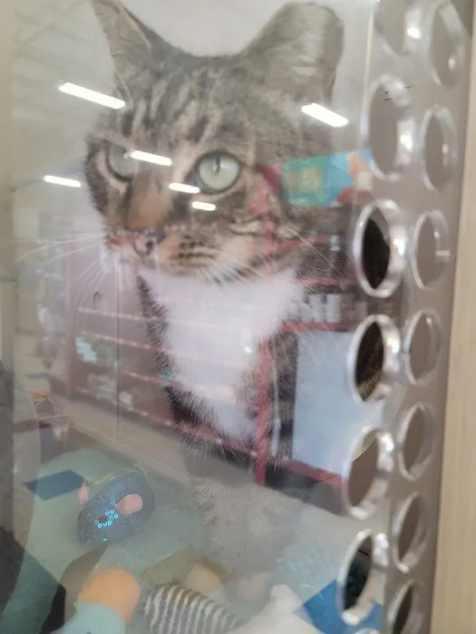 Petco Picture 7
