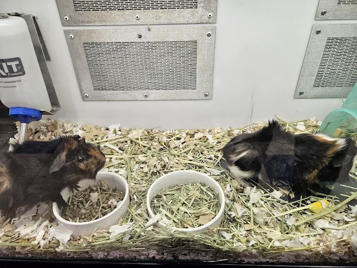 Petco Picture 10