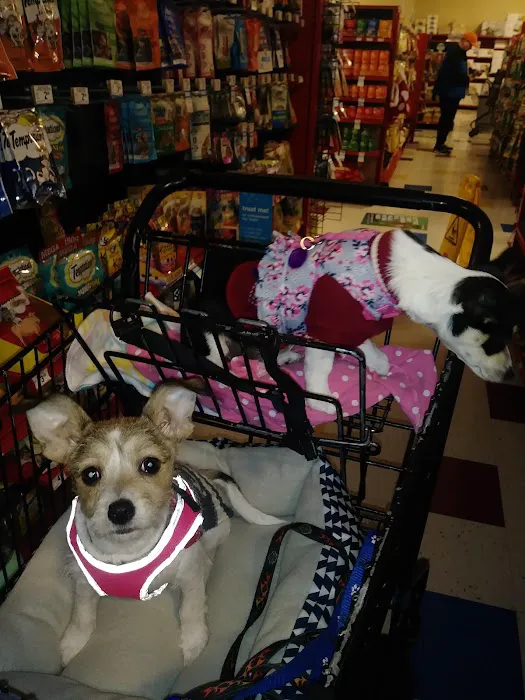 Petco Picture 8