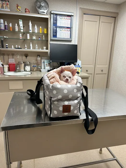 Meisels Animal Hospital Picture 3