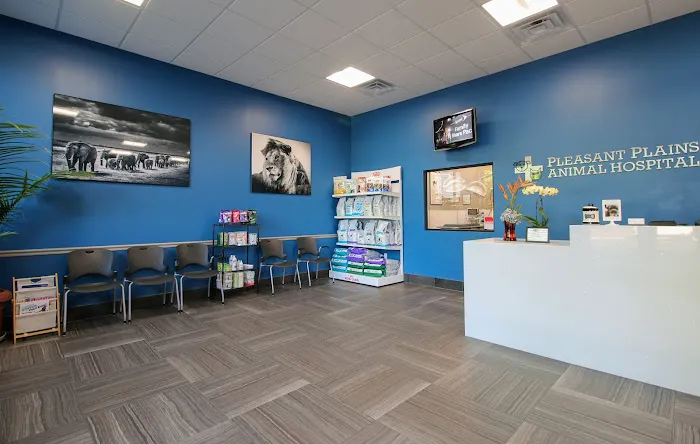 Pleasant Plains Animal Hospital South Picture 8