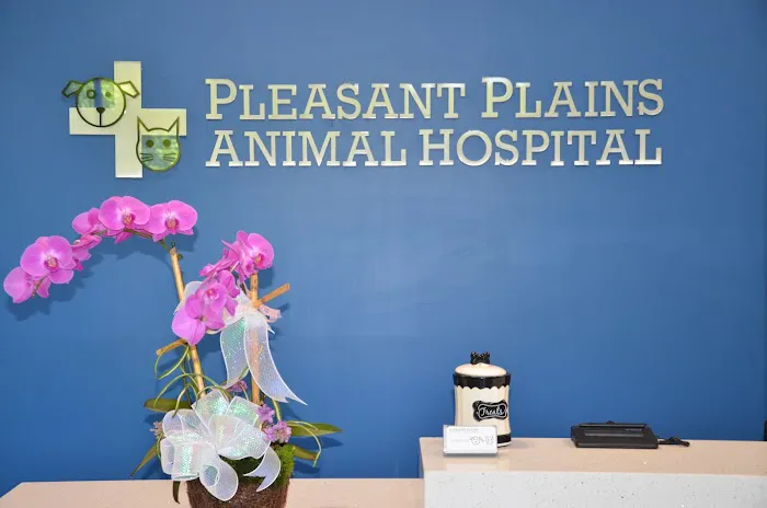 Pleasant Plains Animal Hospital South Picture 2