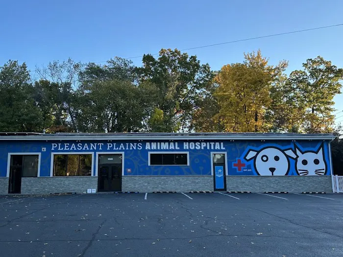 Pleasant Plains Animal Hospital South Picture 9