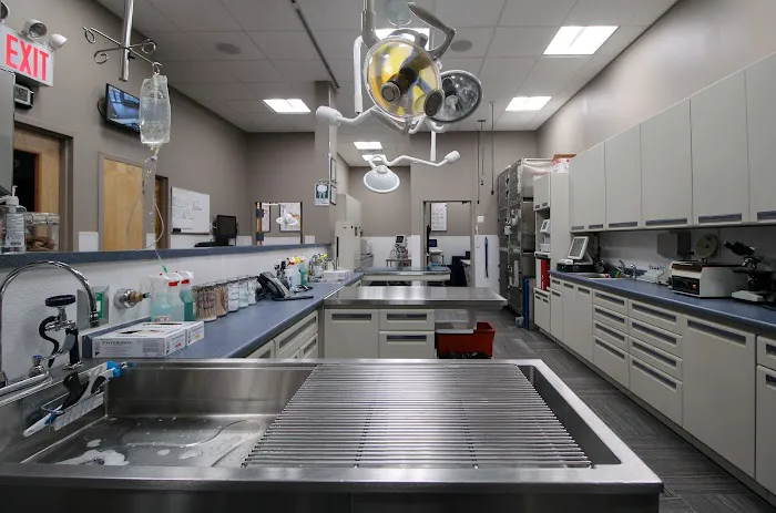 Pleasant Plains Animal Hospital South Picture 10