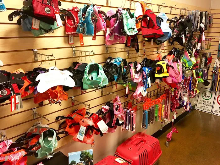 In The Ruff Pet Stuff Picture 5