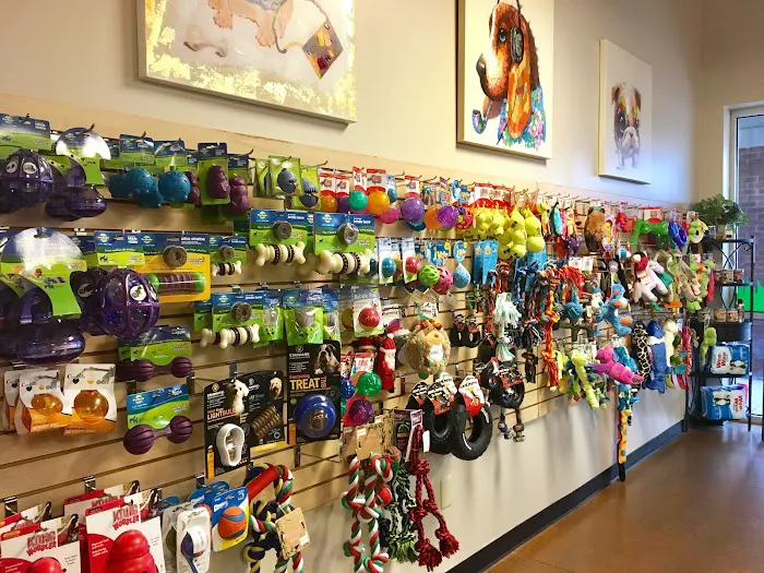 In The Ruff Pet Stuff Picture 3