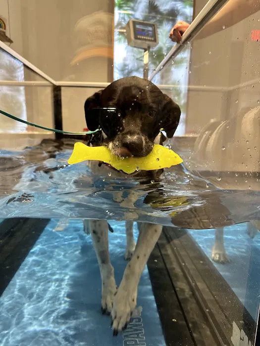 Sage Canine Rehabilitation Center Picture 1