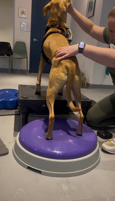 Sage Canine Rehabilitation Center Picture 3