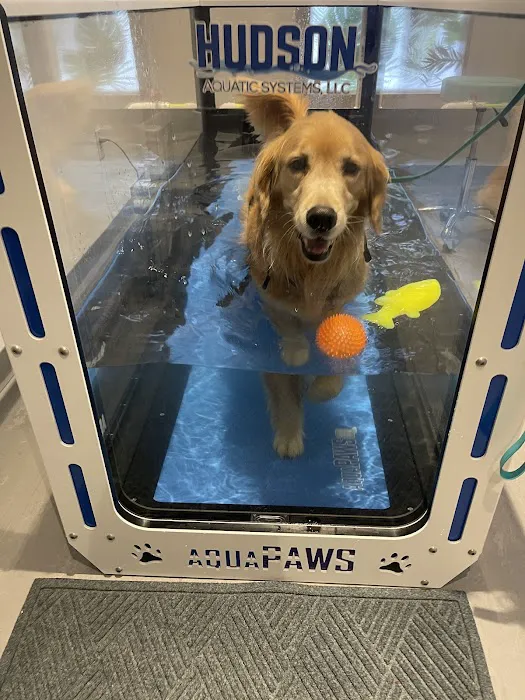 Sage Canine Rehabilitation Center Picture 4