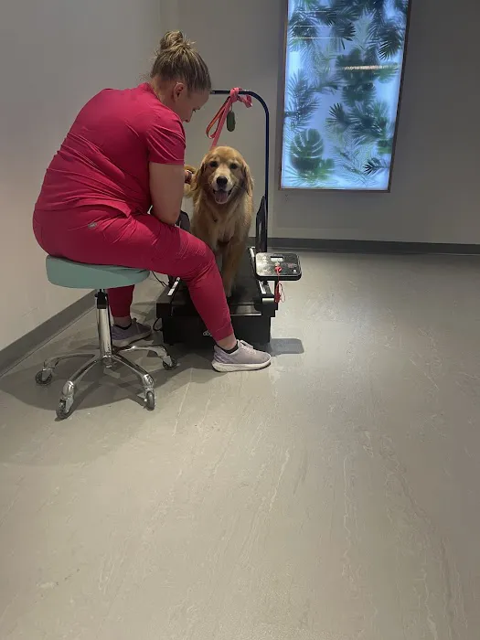Sage Canine Rehabilitation Center Picture 2