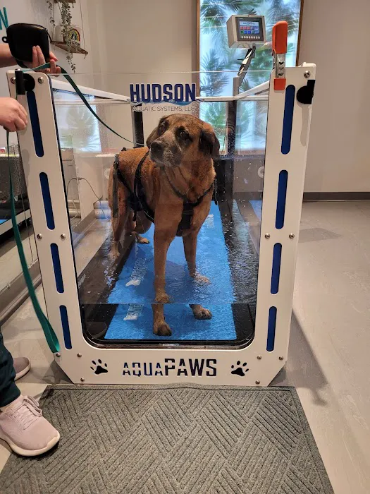 Sage Canine Rehabilitation Center Picture 6