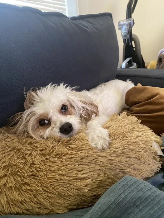 Sage Veterinary Center Picture 8