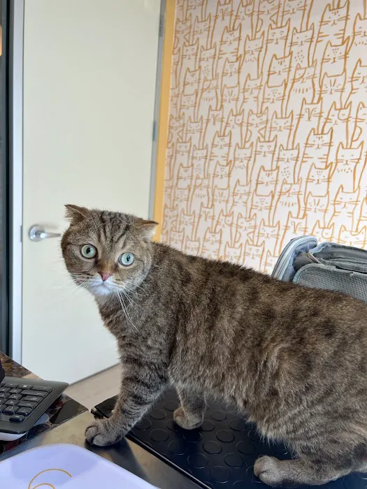 Sage Veterinary Center Picture 2