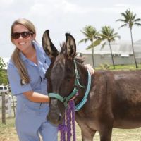 Heights Veterinary Associates ico