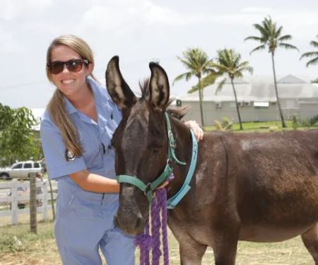Heights Veterinary Associates