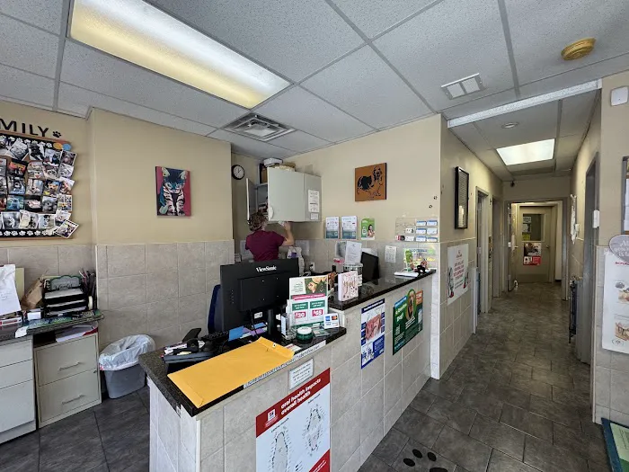 Heights Veterinary Associates Picture 2