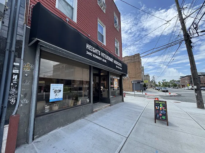 Heights Veterinary Associates Picture 6