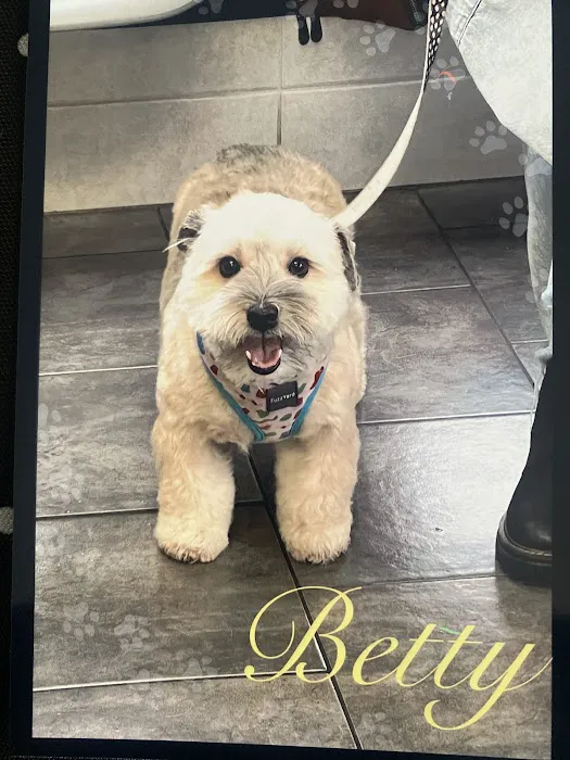 Heights Veterinary Associates Picture 7