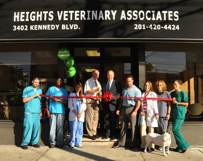 Heights Veterinary Associates Picture 8