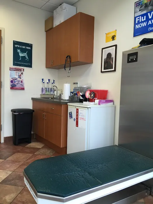 Newport Veterinary Center Picture 6