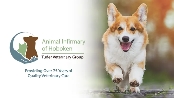 Animal Infirmary of Hoboken Picture 1