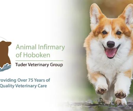 Animal Infirmary of Hoboken