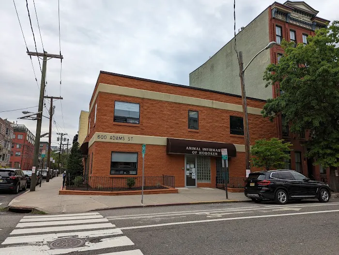 Animal Infirmary of Hoboken Picture 5