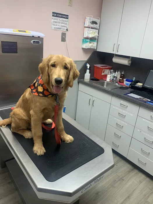 Hoboken Animal Hospital Picture 9