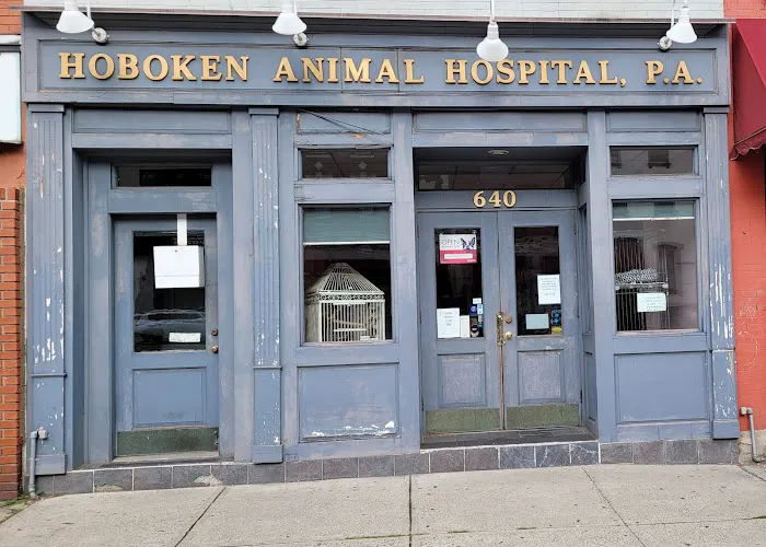 Hoboken Animal Hospital Picture 4