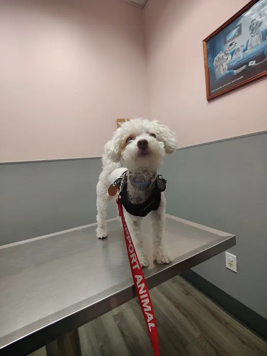 Hoboken Animal Hospital Picture 3