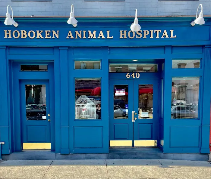 Hoboken Animal Hospital Picture 1