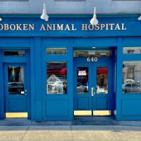 Hoboken Animal Hospital ico