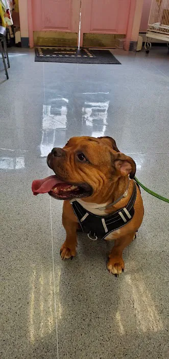 Hoboken Animal Hospital Picture 8