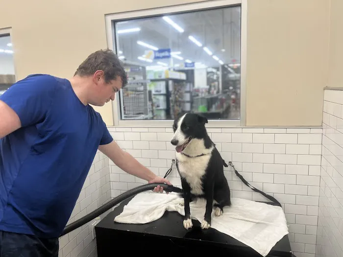 Pet Supermarket Picture 9
