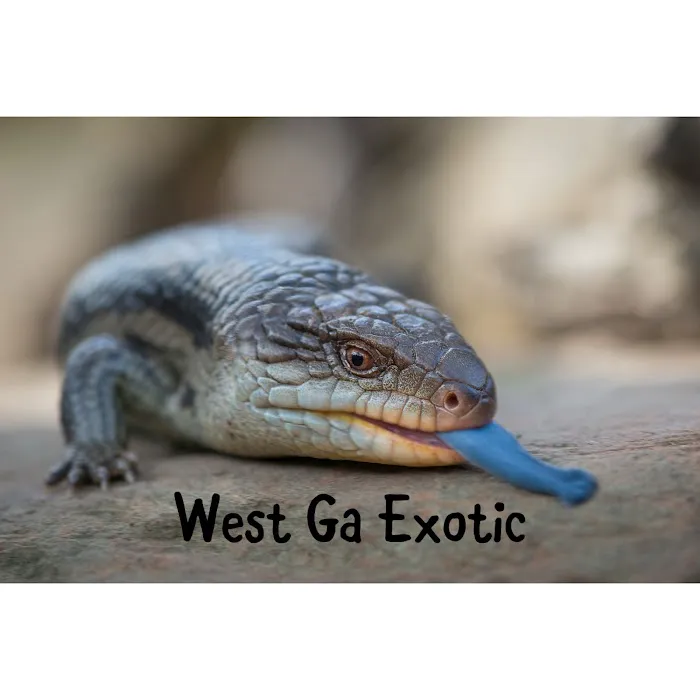 West Ga Exotic Picture 1