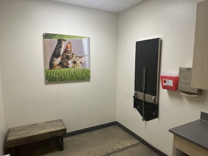 Vetco Total Care Animal Hospital Picture 4