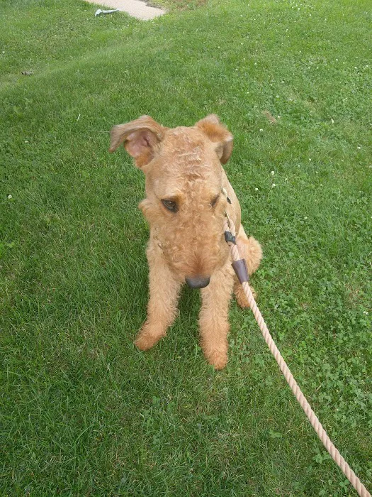 Richmond Valley Veterinary Practice Picture 9